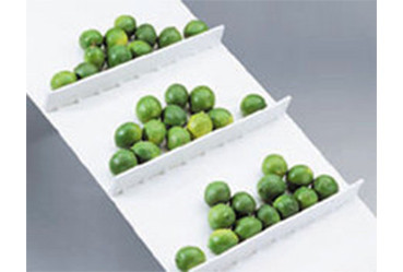 Flexco Tatch A Cleat® L