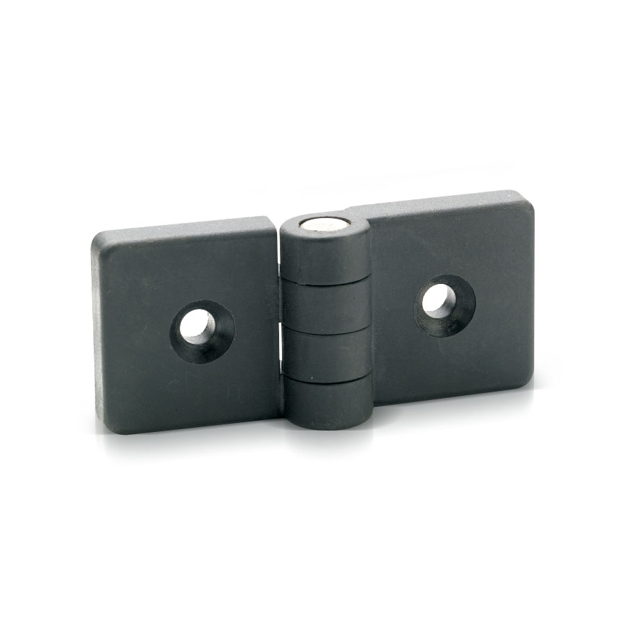 Hinge DHIF 2-hole polyamide